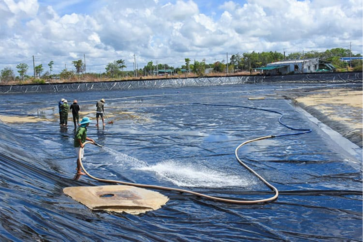 Xử lý bùn đáy không thể chỉ trông cậy vào việc nạo vét cuối vụ