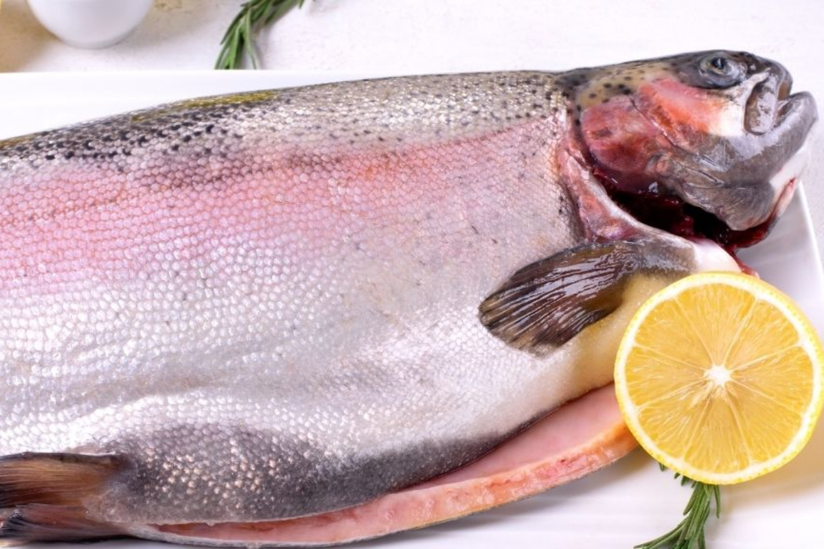 Việt Nam có nhu cầu cá hồi cao