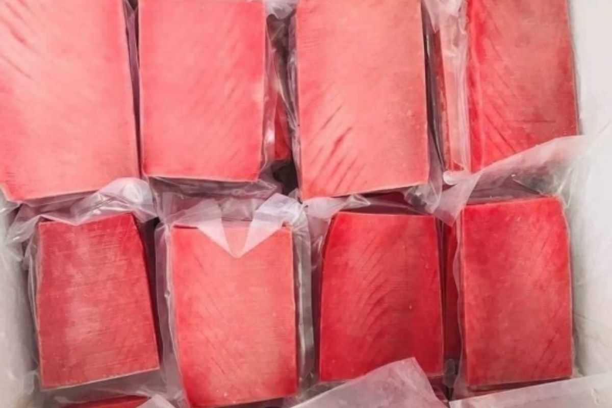 Cá ngừ phi lê đông lạnh là mặt hàng chủ lực xuất khẩu sang Pháp