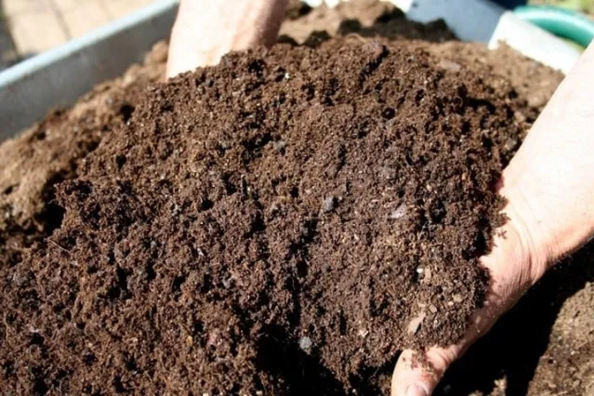 Quy trình kỹ thuật cách ủ phân compost