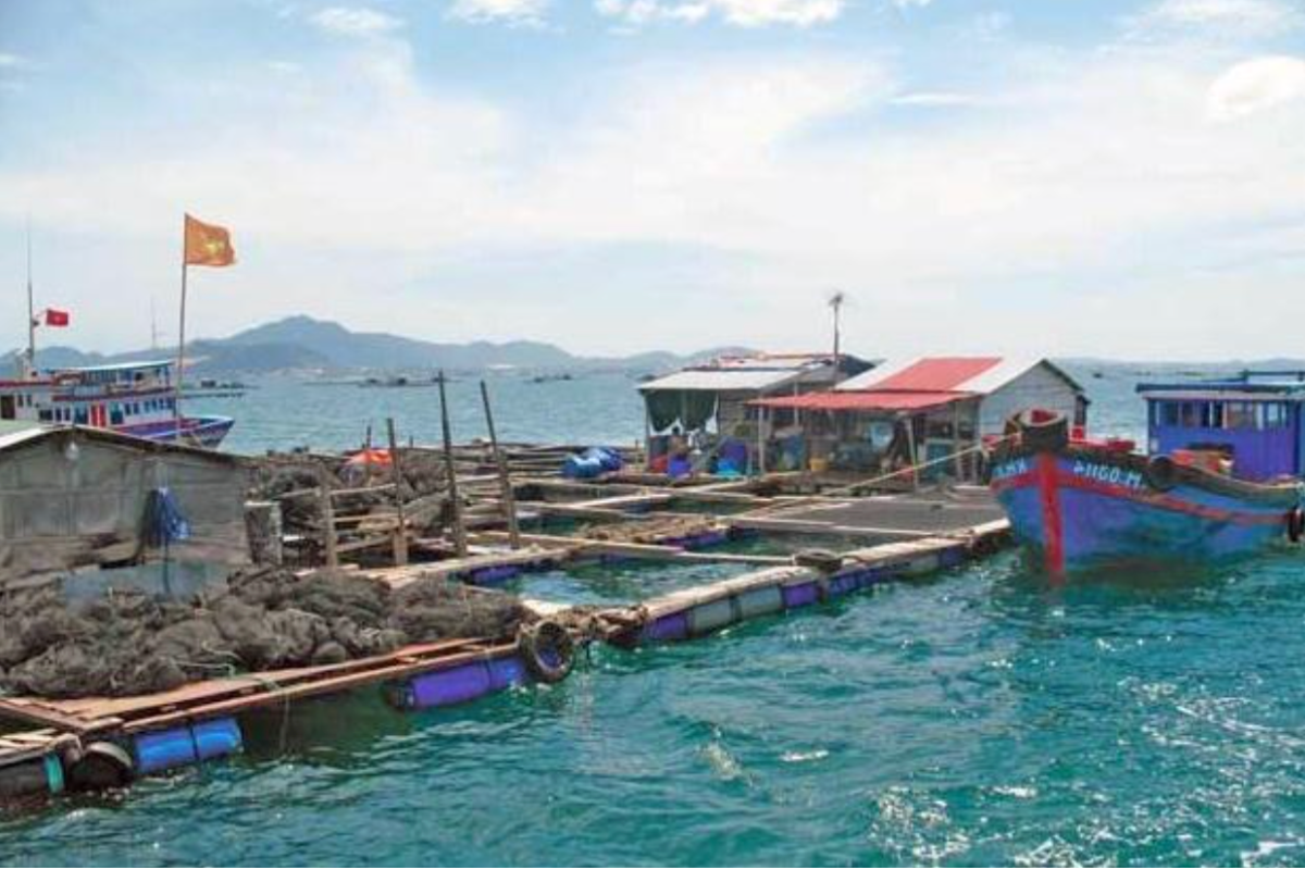 Nuôi trồng thủy sản ở Cam Ranh trước khi chuyển đổi sang mô hình mới