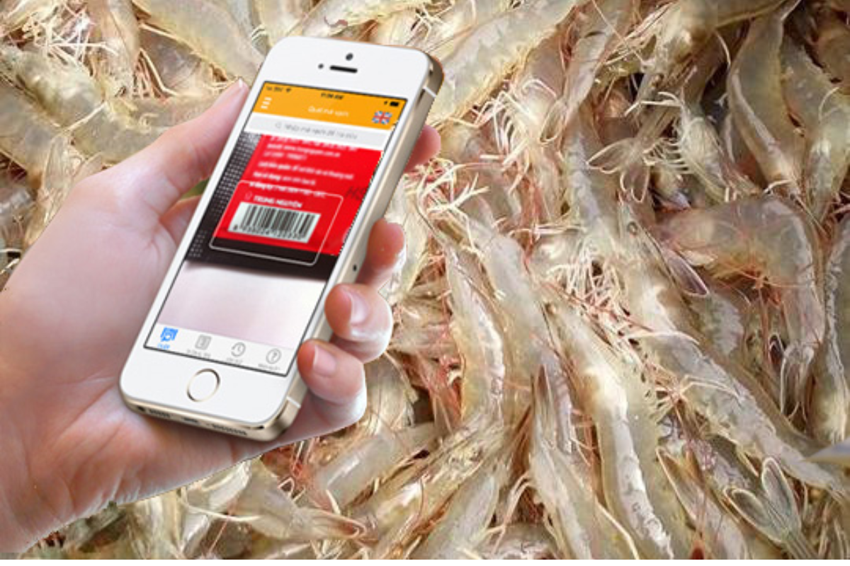 Hệ thống phần mềm truy xuất nguồn gốc tôm