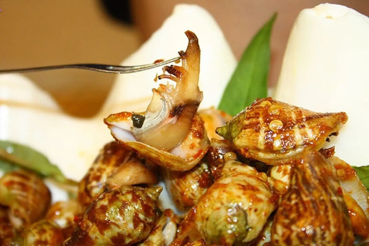 Ốc nhảy có chất lượng thịt rất ngon