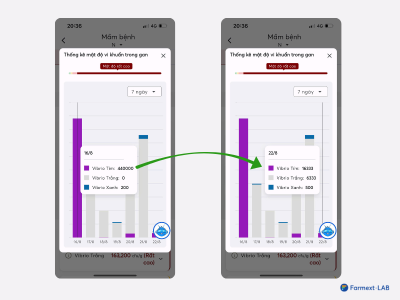 Mật độ vi khuẩn Vibrio được kiểm soát sau 6 ngày nhờ phát hiện và xử lý sớm