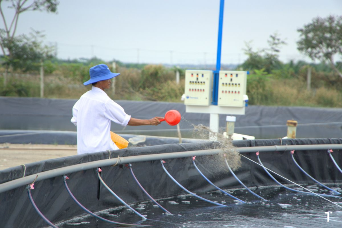 Bổ sung vi sinh có lợi bằng các chế phẩm sinh học không gây hại