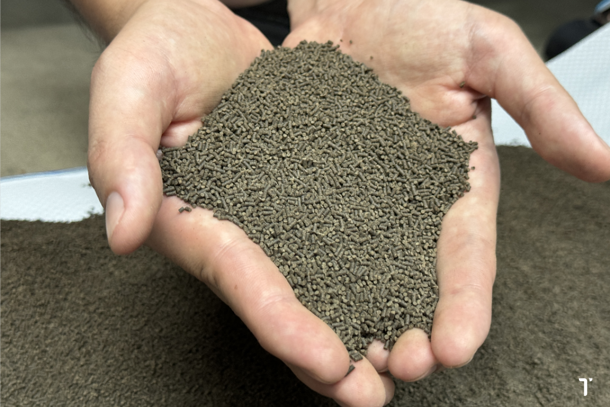 Bảo quản thức ăn thủy sản đúng cách giúp hạn chế nấm mốc và độc tố