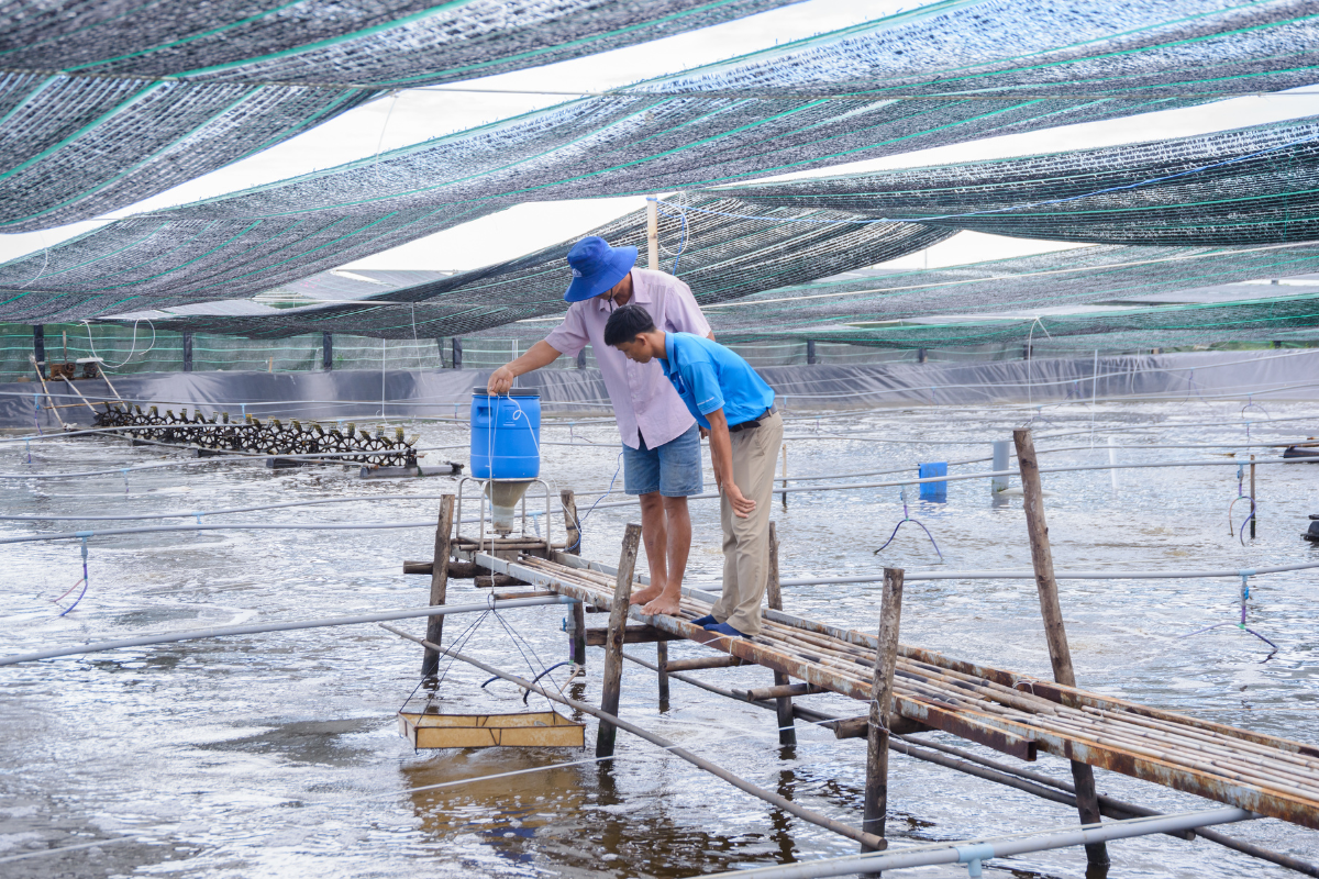 Chuyên gia kỹ thuật Grobest đồng hành cùng bà con ngay tại ao nuôi
