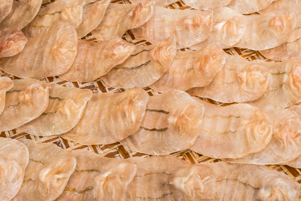 Bong bóng cá lạc là 1 món ăn cao cấp