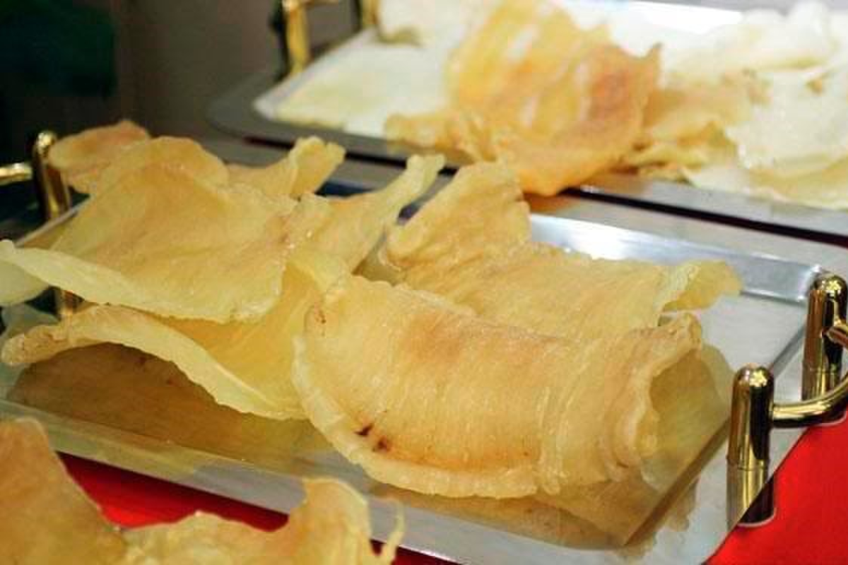 Bong bóng của cá sủ vàng là bộ phận mang lại giá trị khổng lồ