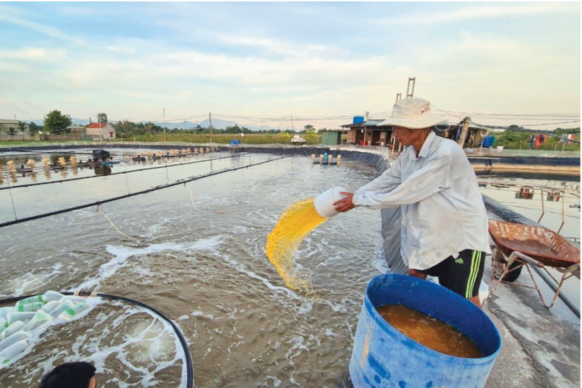 Sử dụng chế phẩm sinh học đúng cách