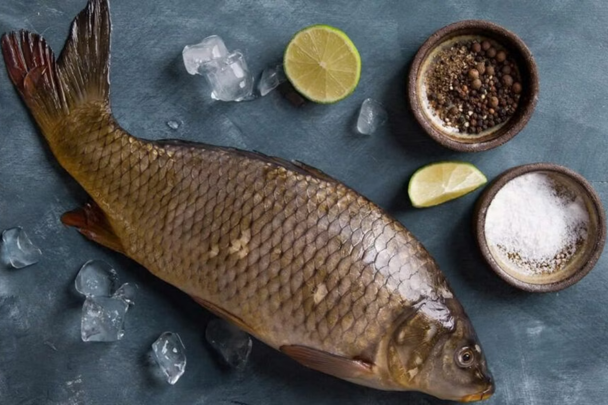 Cần cẩn thận loại bỏ chất độc khi sơ chế cá trắm