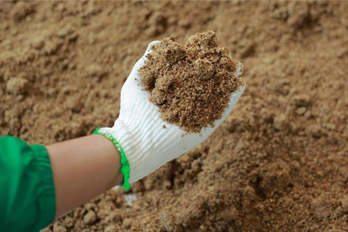 Tình trạng giá bột cá tăng cao sẽ khiến nhiều nhà sản xuất phải dùng nguồn protein thay thế