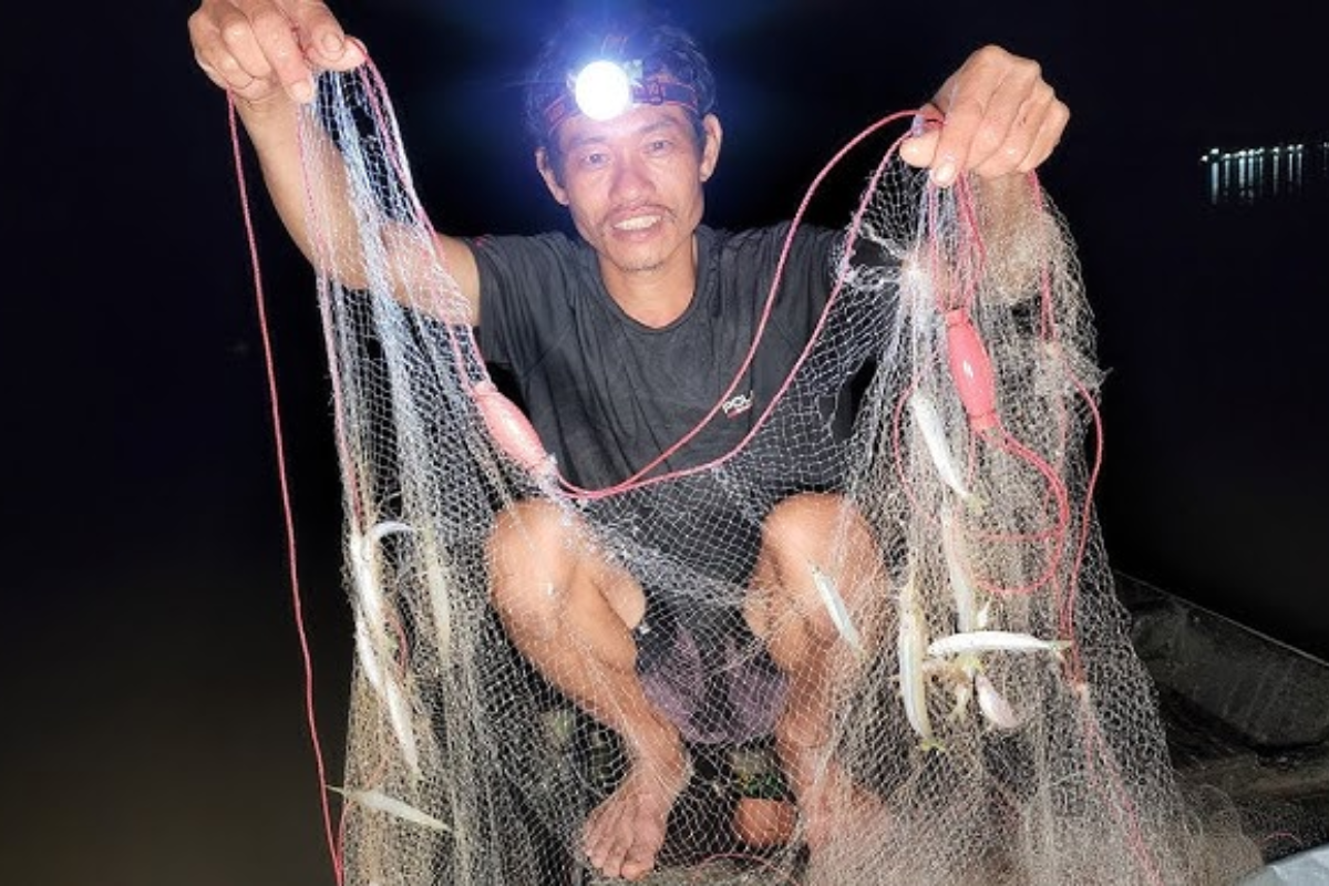 Người dân khai thác cá lìm kìm trong tự nhiên