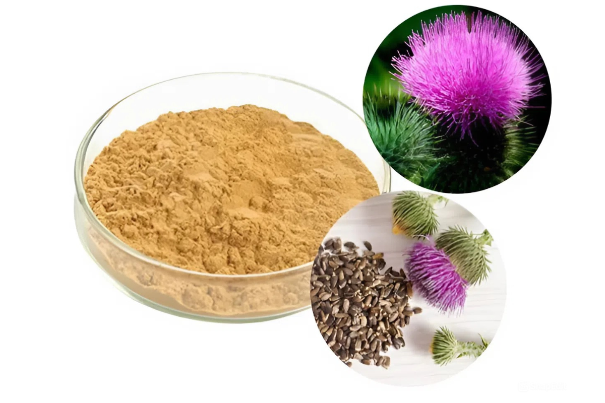 Silymarin chiết xuất cây kế sữa (cây cúc gai)