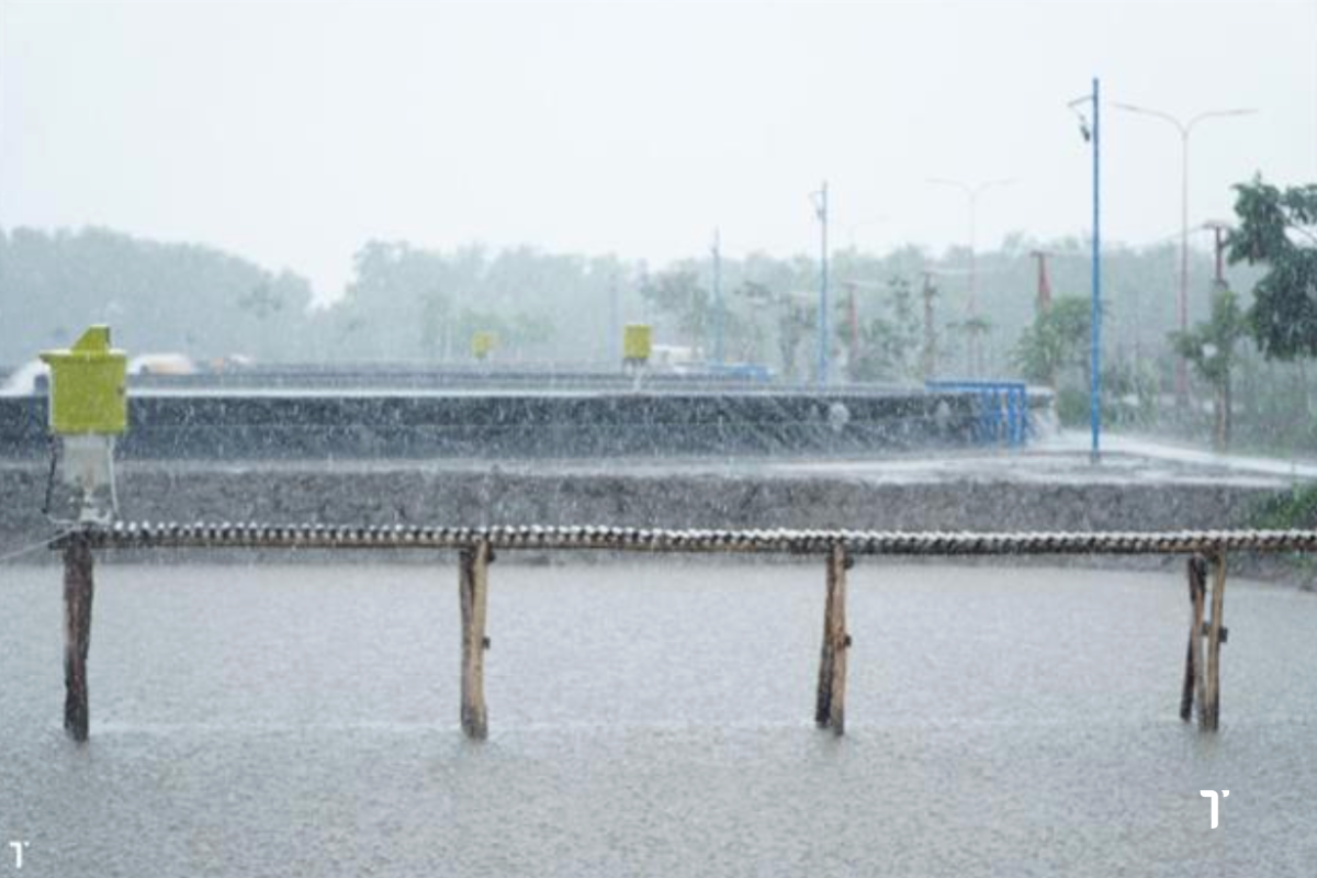 Phục hồi ao nuôi, ổn định sản xuất sau sự cố