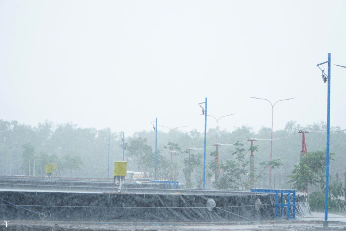 Chuẩn bị ao nuôi trước mùa mưa bão vô cùng cần thiết để đàn nuôi tránh thiệt hại lớn