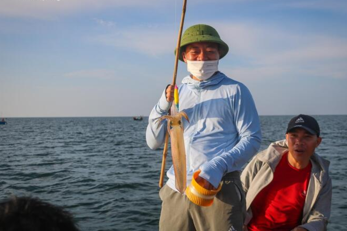 Nghề câu mực là 1 nghề đánh bắt lâu đời tại Việt Nam