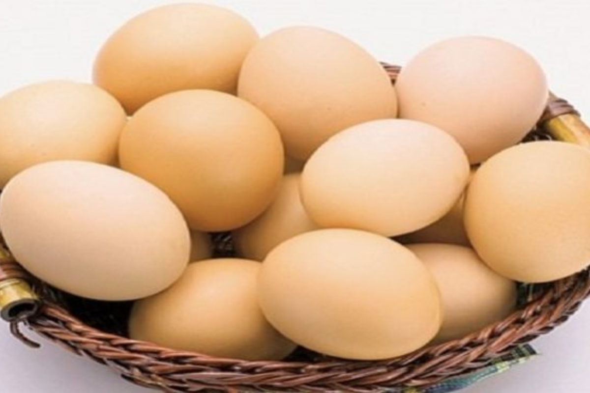  IgY có nồng độ rất cao trong lòng đỏ trứng gà (IgY)