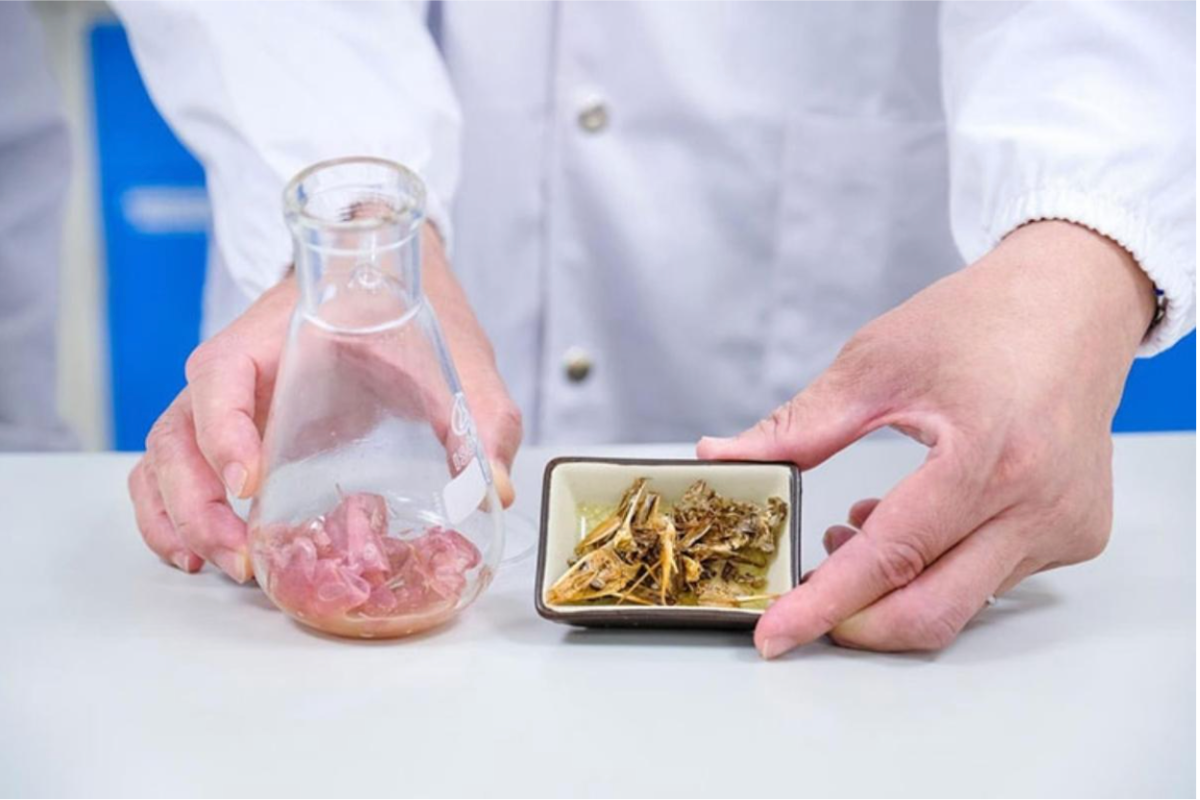 Quá trình xử lý phụ phẩm tôm, hướng đến kinh tế tuần hoàn