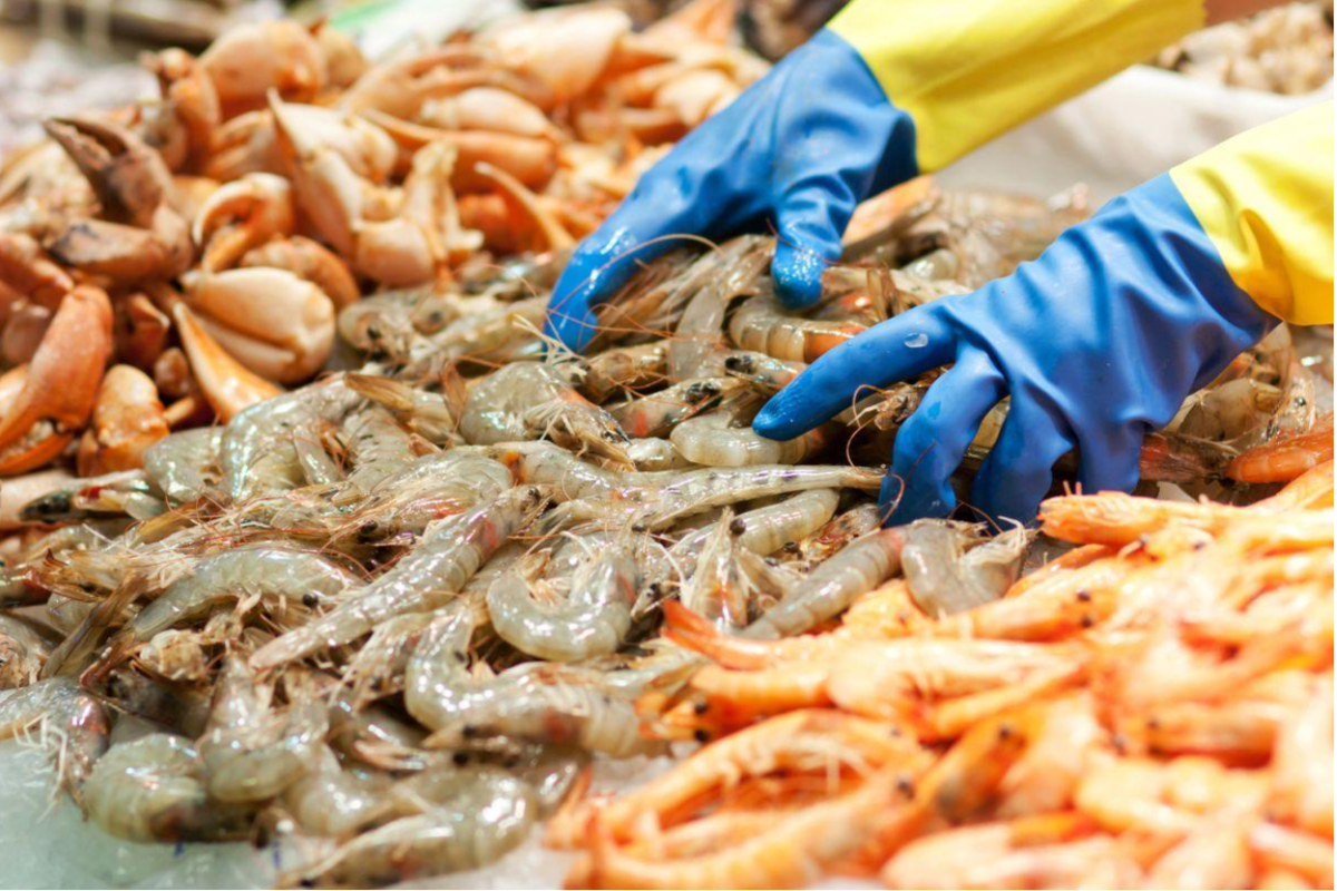 Tôm chất lượng cao nguồn gốc của các sản phẩm phụ giá trị