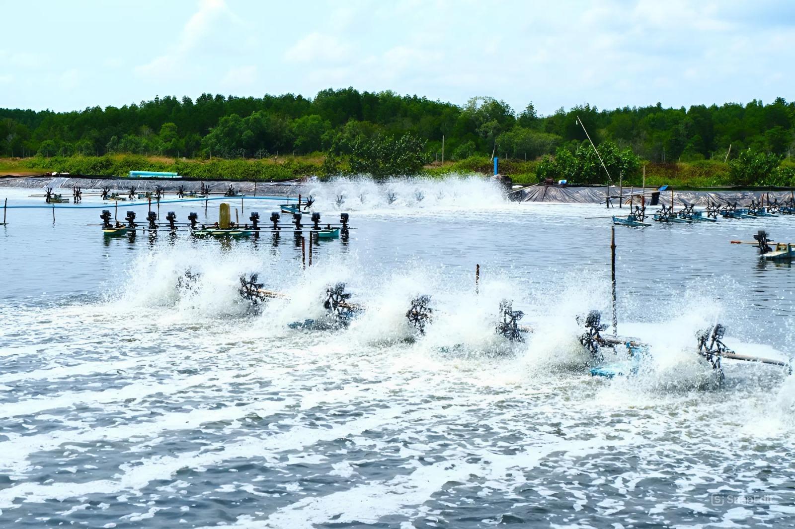 Một ao 3–5 hecta có thể cần đến 2–3 lao động theo dõi thường xuyên