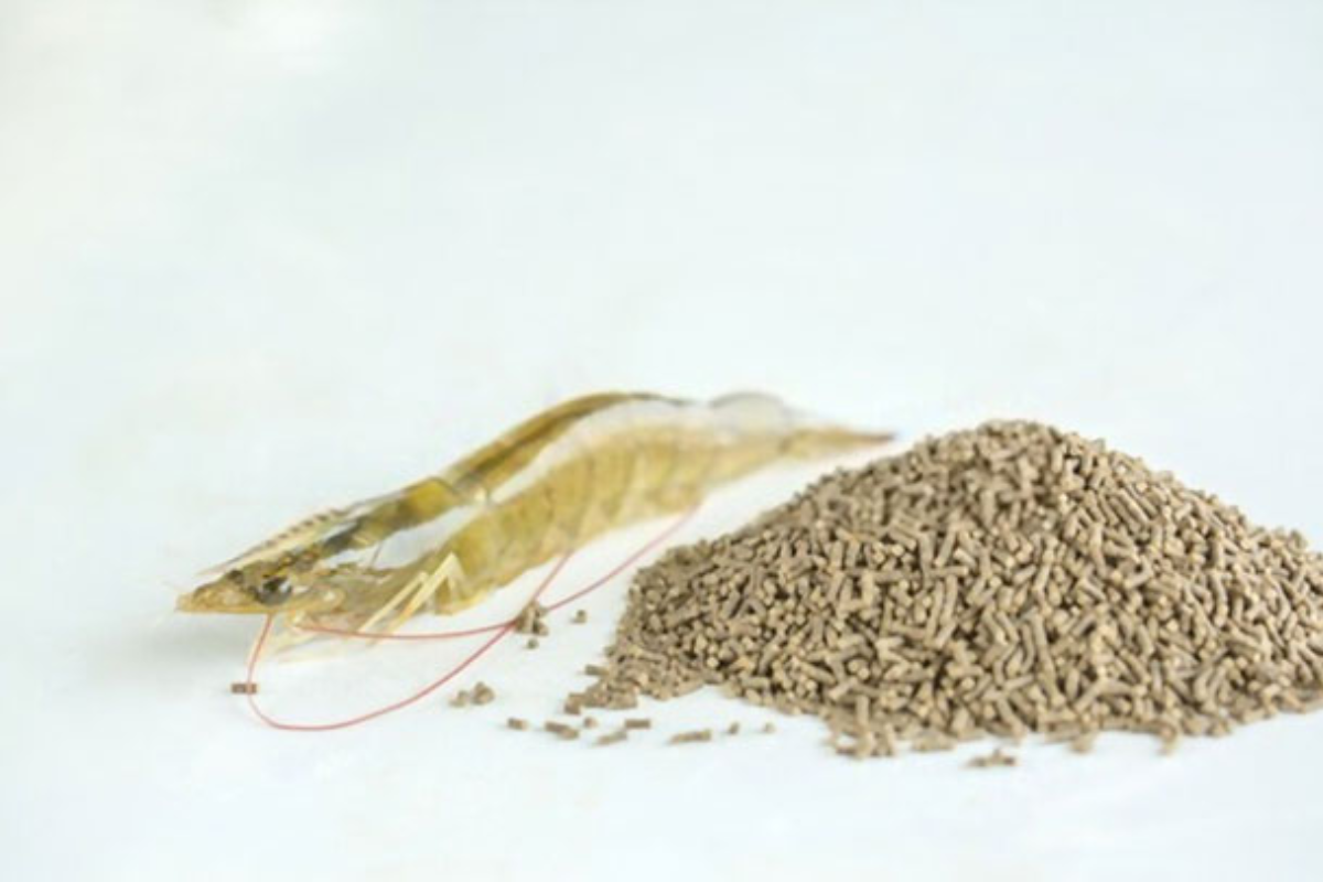 Chất lượng thức ăn là yếu tố cốt lõi trong mọi chiến lược dinh dưỡng