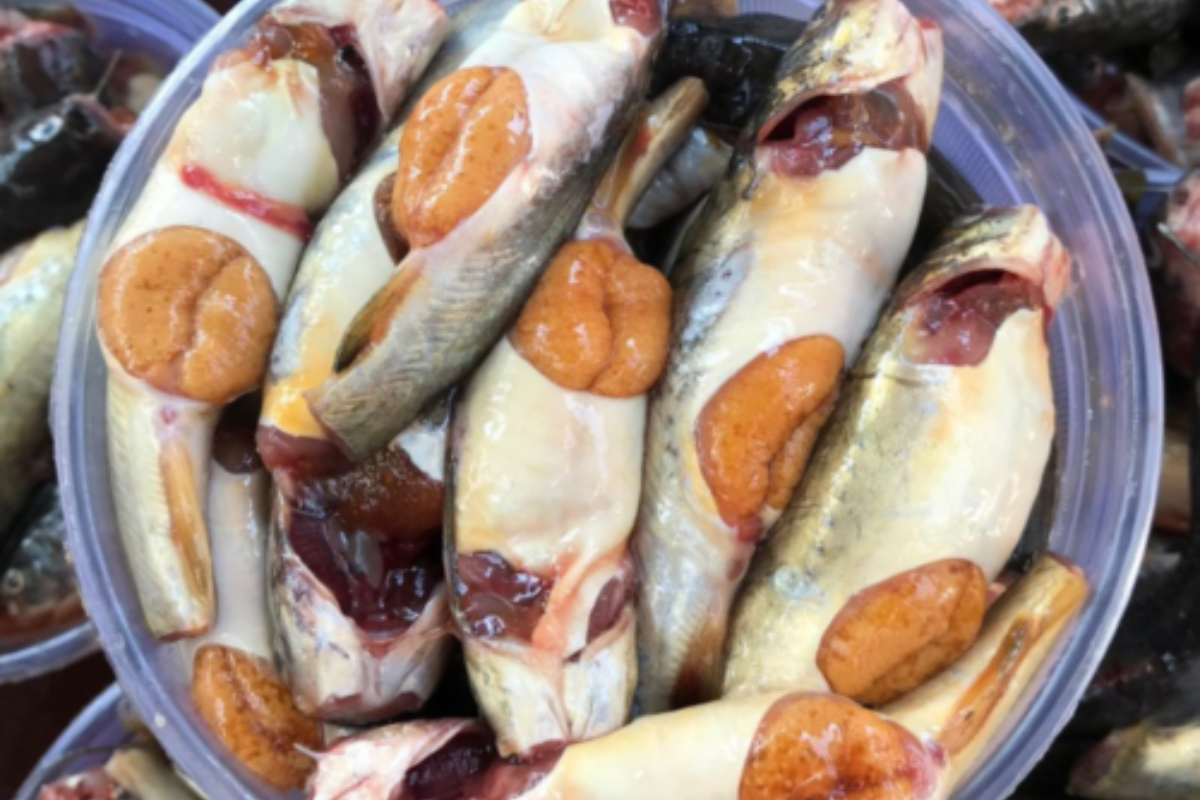 Cá rô trứng được bán với giá cao