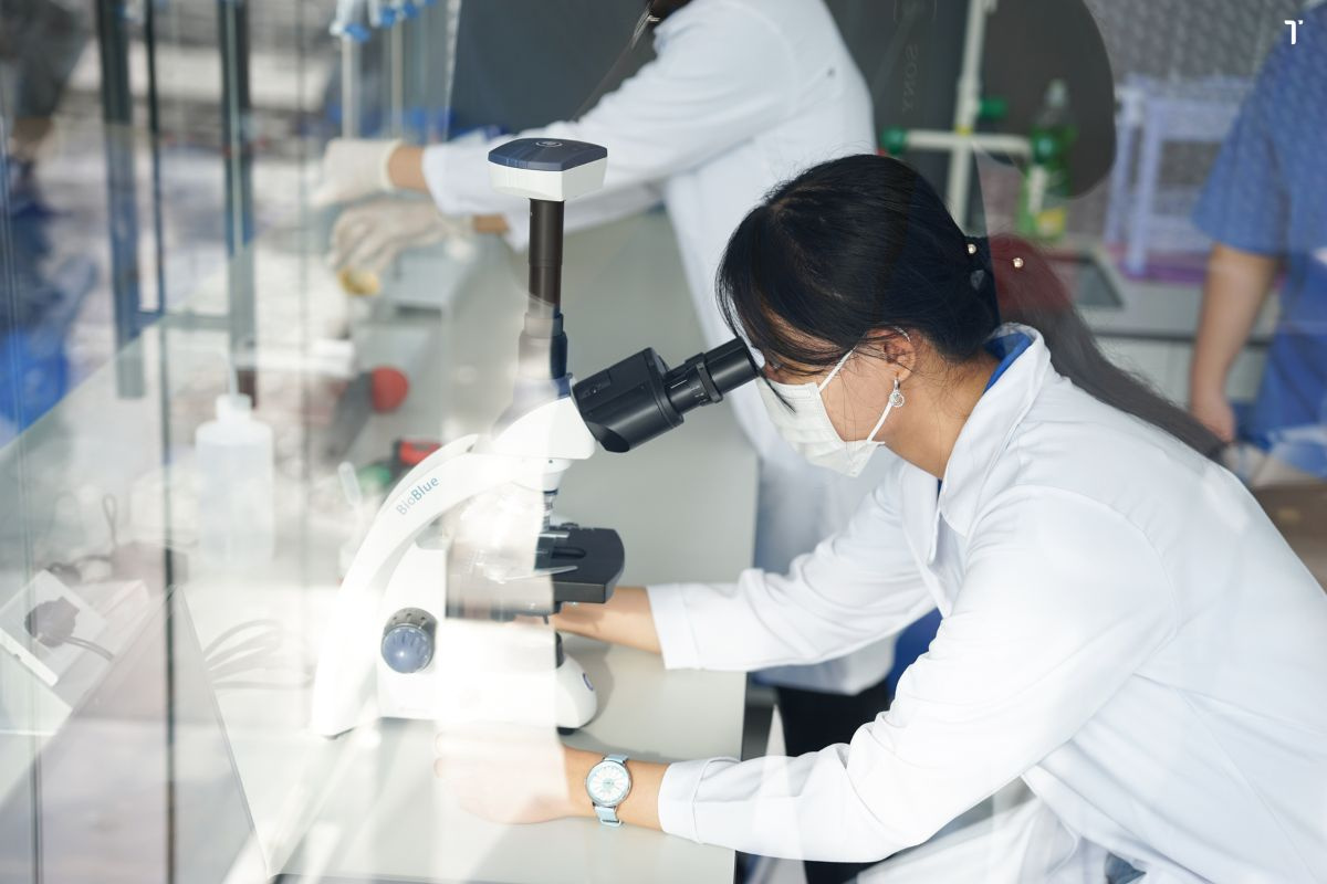 Xét nghiệm PCR là phương pháp hàng đầu để xác định tình trạng sức khỏe của tôm giống