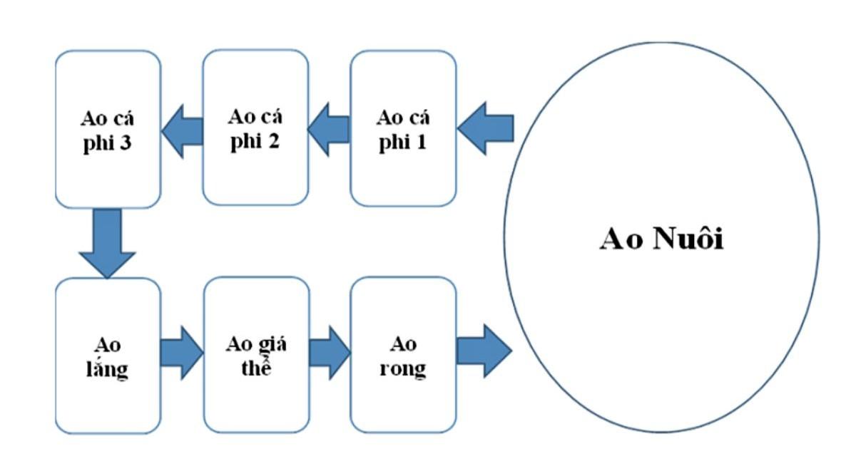 Sơ đồ nuôi tôm