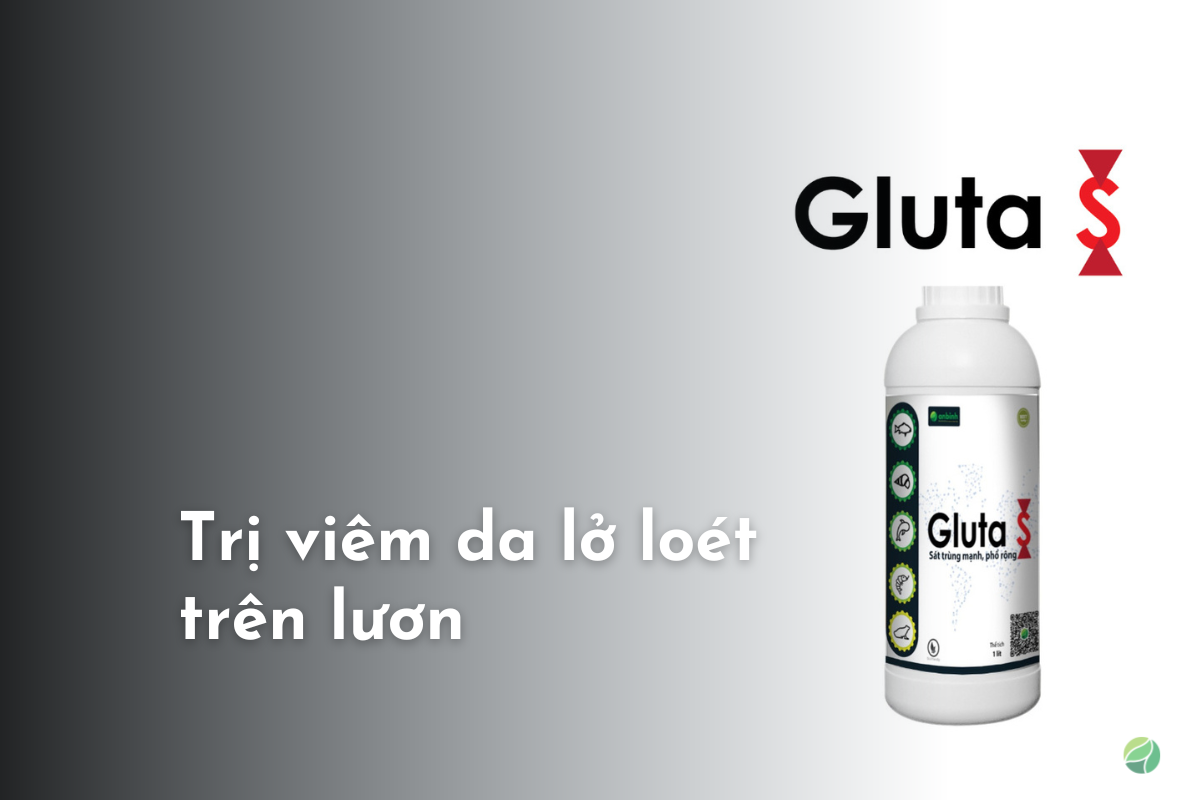 Gluta S