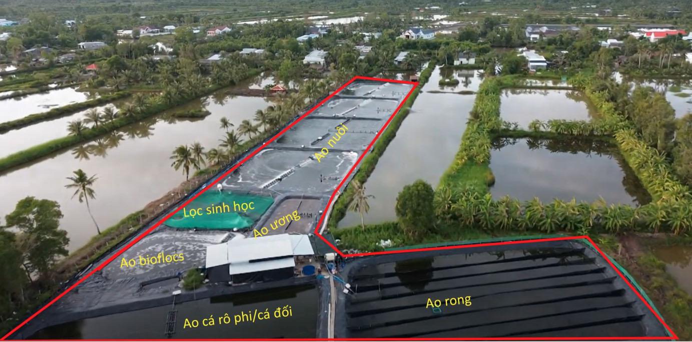 Mô hình nuôi tôm