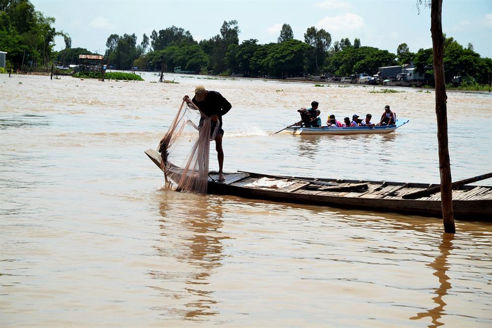 An Giang mùa nước nổi, khai thác thủy sản, đánh bắt cá, cá linh