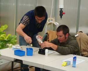 Aquaponics