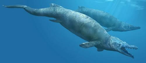 Basilosaurus