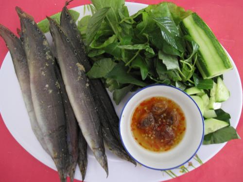 Chạch một nắng 