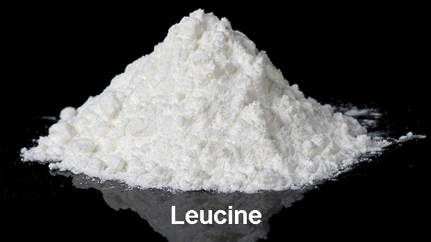 leucine trên ghẹ, leucine trên động vật thủy sản, ghẹ đốm, thức ăn thủy sản, bổ sung Leucine vào ghẹ đốm