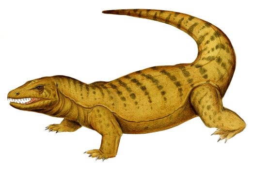 "Megalania