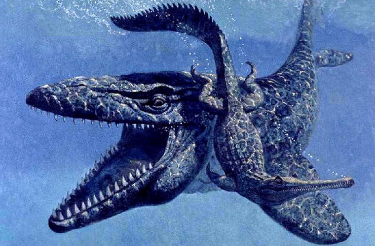 Sở dĩ nó có tên Mosasaurus (bò sát sông Meuse - một dòng sông chảy qua 3 quốc gia: Bỉ, Pháp, Hà Lan) là vì hóa thạch của loài này được tìm thấy ở khu vực này.