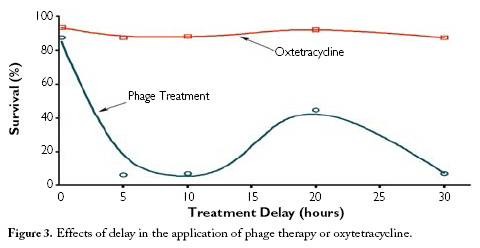 phage