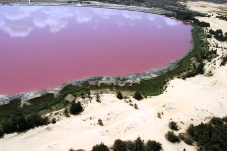 Không giống một số hồ có màu hồng khác trên thế giới như ở Retba hay ở San Francisco, người ta vẫn chưa chứng minh được một cách rõ ràng đặc tính màu hồng của hồ.