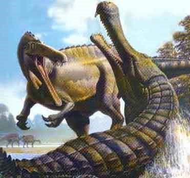 Sarcosuchus Imperator
