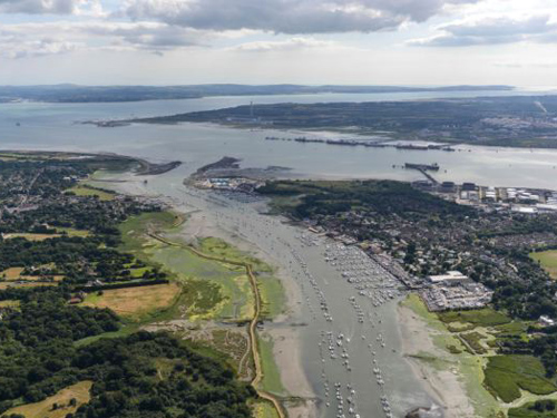 Người dân ở Southampton phàn nàn về tiếng kêu khó chịu