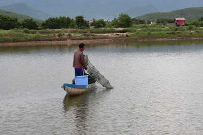 lờ dây