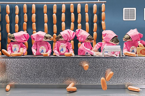 Cá làm việc trong nhà máy sản xuất xúc xích.