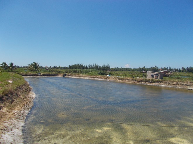 ao hồ đang cải tạo