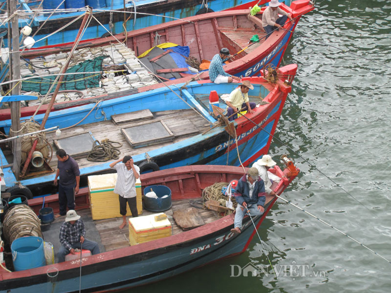âu thuyền thọ quang