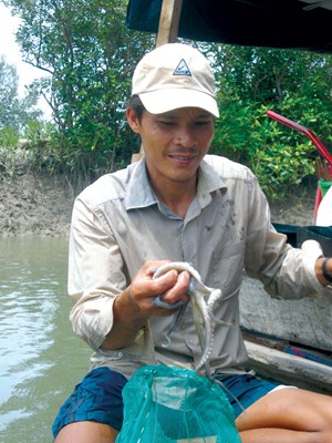 Thành quả là những chú bạch tuộc tươi ngon