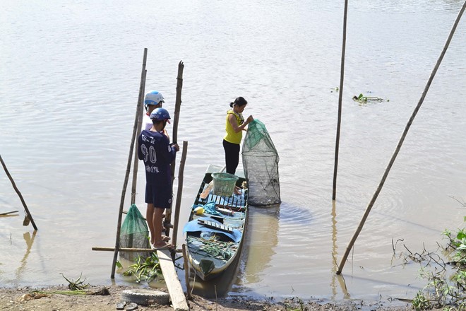 bám trụ bắt cá