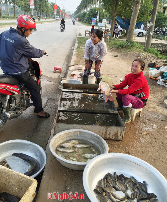 bán cá bên đường