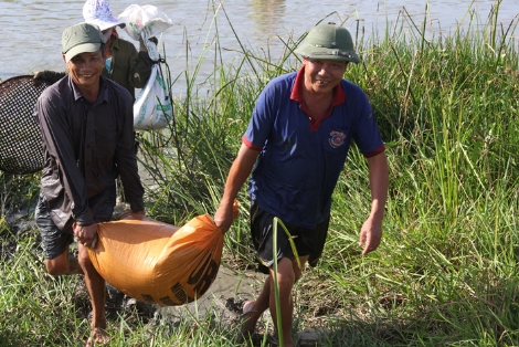 Chiến lợi phẩm thu được sau buổi sáng bì bõm lội nước